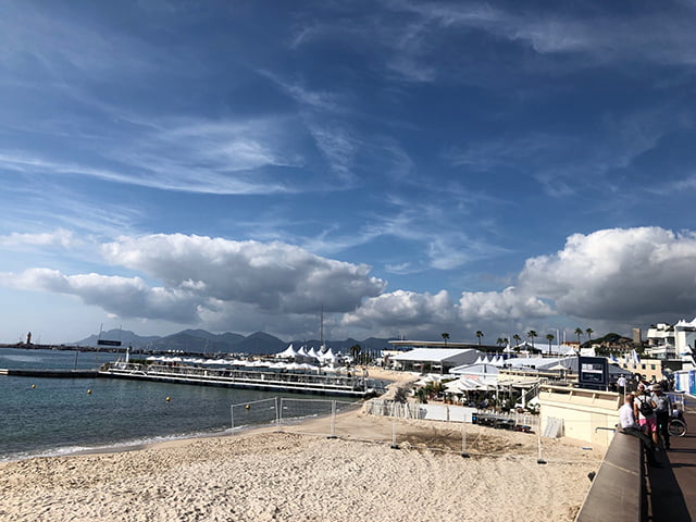 TFWA in Cannes 2019
